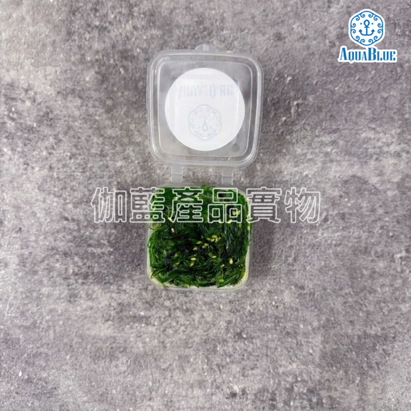 中華海草沙律 100g/300g/2kg [解凍即食] | Chuka Salada Seaweed Salad 100g/300g/2kg [Edible after thawing]