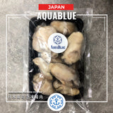 日本廣島急凍蠔肉 (2L) [需烹調] | Japanese Hiroshima Frozen Oyster (2L) [Need to be cooked]