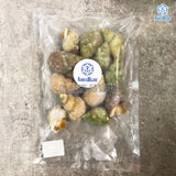 加拿大翡翠螺(熟) 400-500g [解凍即食] | Canadian Whelk (Cooked) 400-500g [Edible after thawing]