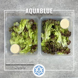 [需提早1－2天預訂] 麻醬沙律 (4-6人份量) [新鮮即食] | [Need Pre-order 1-2 days in advance] Green Salad with Sesame Dressing (4-6ppl)  [Ready to Serve]
