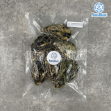 日本兵庫縣急凍帶殼生蠔 80-99g [解凍開殼即食] | Japanese Hyōgo Prefecture Frozen Oysters 80-99g