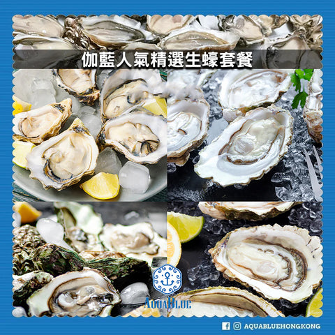 【伽藍人氣精選生蠔套餐】6款法國名蠔共24隻 (可升級36隻) [4-6人派對/生蠔 Tasting/連工具]| AquaBlue Oysters Best Picks Set (4-6 persons)