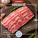 加拿大穀飼頂級AAA牛仔骨片(已切) 300g [需烹調] | Canadian Grain-fed AAA Beef Shortrib Bone-In 300g [Need to be cooked]