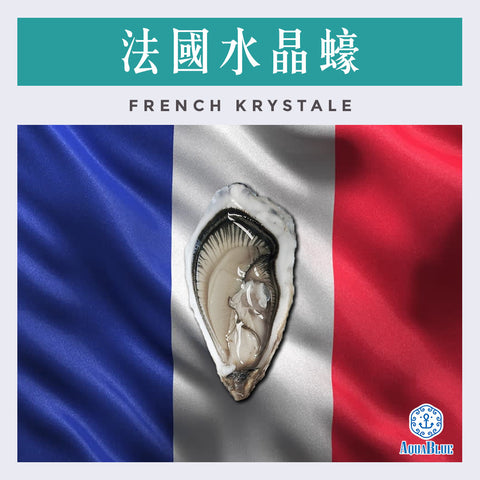 法國水晶蠔 (No.2) French Krystale (24隻裝) (需預早一星期前預訂) | French Krystale (No.2) (24Pc Set) (Need Pre-order: 1week)