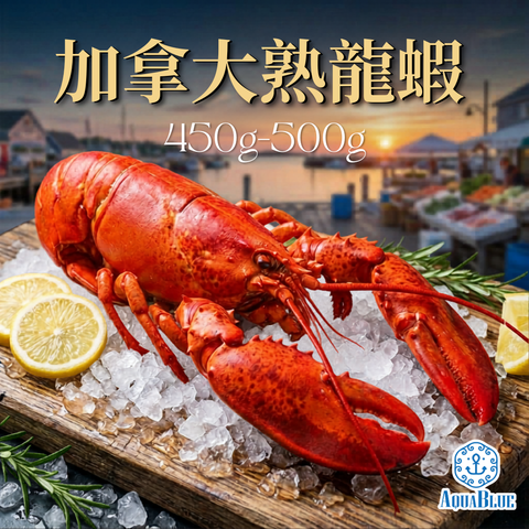 加拿大龍蝦(熟) 450g-500g [解凍即食] | Canadian Lobster 450g-500g [Edible after thawing]