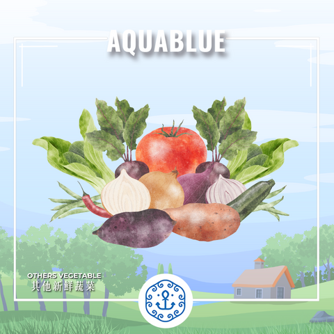 新鮮蔬菜|Fresh Vegetable