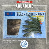 (需提早1天預訂) 越南黑虎蝦 1kg [需烹調] | (Need Pre-Order Before 1 day) Vietnamese Black Tiger Prawn 1kg [Need to be cooked]