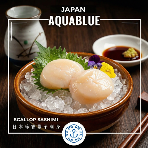 日本北海道生食級帶子刺身 (S 珍寶規格) 原裝進口 鮮甜帆立貝(S) 