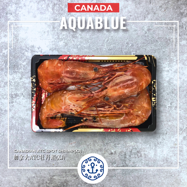 加拿大ATC牡丹蝦(XJ) [解凍即食] | Canadian ATC Spot Shrimp(XJ) [Edible after thawing]