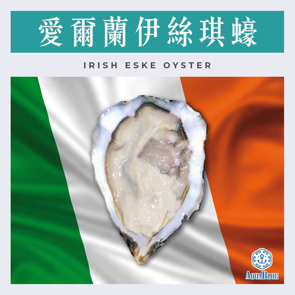 愛爾蘭伊絲琪蠔 No.0 Irish Eske Donegal Bay No.0 (原箱48隻裝) (需預早一星期前預訂) | Irish Eske Donegal Bay Oyster No.0 (48Pc Set) (Need Pre-order: 1week)