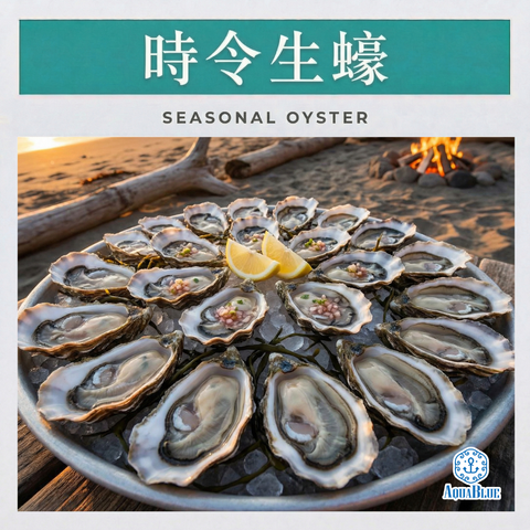 時令生蠔 [新鮮即食] | Seasonal Oyster
