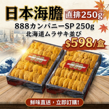 [限定數量] 日本海膽 250g 直排 北海道ムラサキ並び 888 カンパニーSP | Ogawa Hokkaido Murazaki Uni