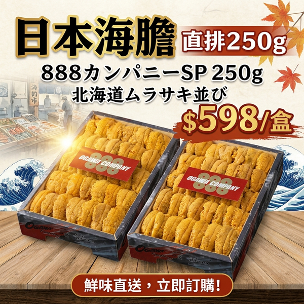 [限定數量] 日本海膽 250g 直排 北海道ムラサキ並び 888 カンパニーSP | Ogawa Hokkaido Murazaki Uni