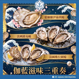 【伽藍滋味三重奏】3款法國頂級名蠔共18隻 (稚拉圖No.1/路易 No.2/愛爾蘭 No.0) [生蠔外賣/派對到會] |  Aquablue Oyster Trio