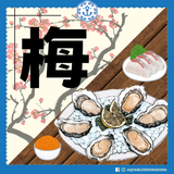 梅 Plum Set 豪華時令生蠔刺身海鮮套餐，包含8隻No.2生蠔、油甘魚、劍魚腩等多款日本直送刺身，配開蠔工具及醬汁