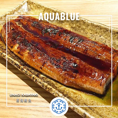 原條鰻魚 120 - 150g [需烹調] | Unagi Kabayaki 120 - 150g [Need to be cooked]