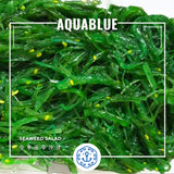 中華沙律   Chuka Salada Seaweed Salad  